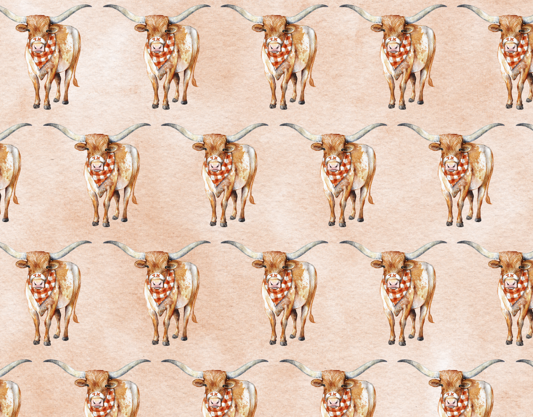Lonestar Longhorn Notecard Set