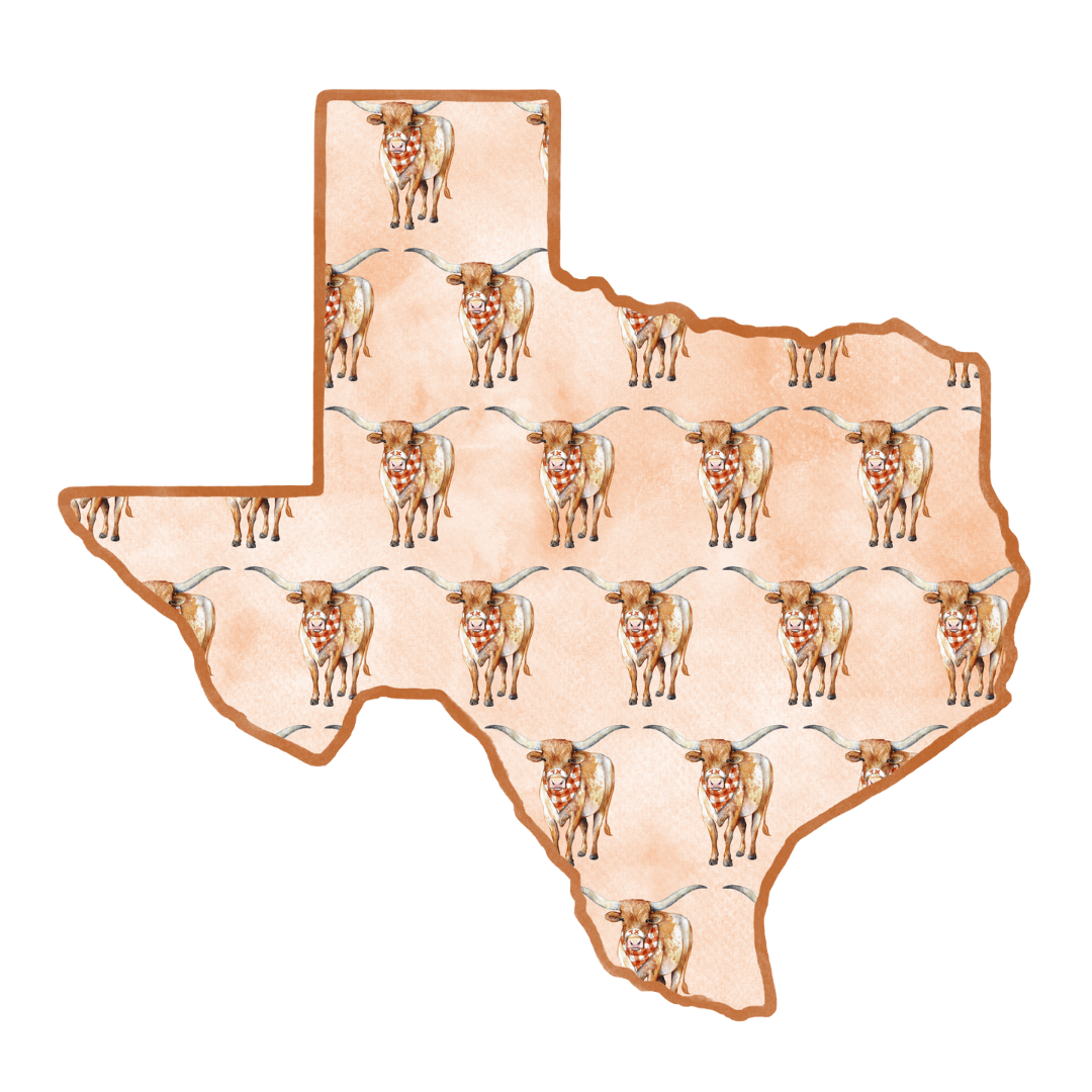 PRE ORDER (Ships 8/31) Lonestar Longhorn Printed Door Hanger