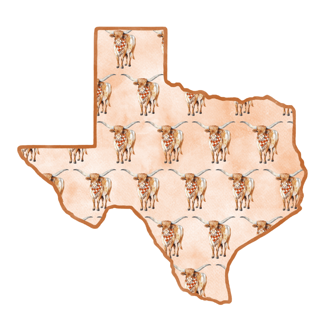 PRE ORDER (Ships 8/31) Lonestar Longhorn Printed Door Hanger