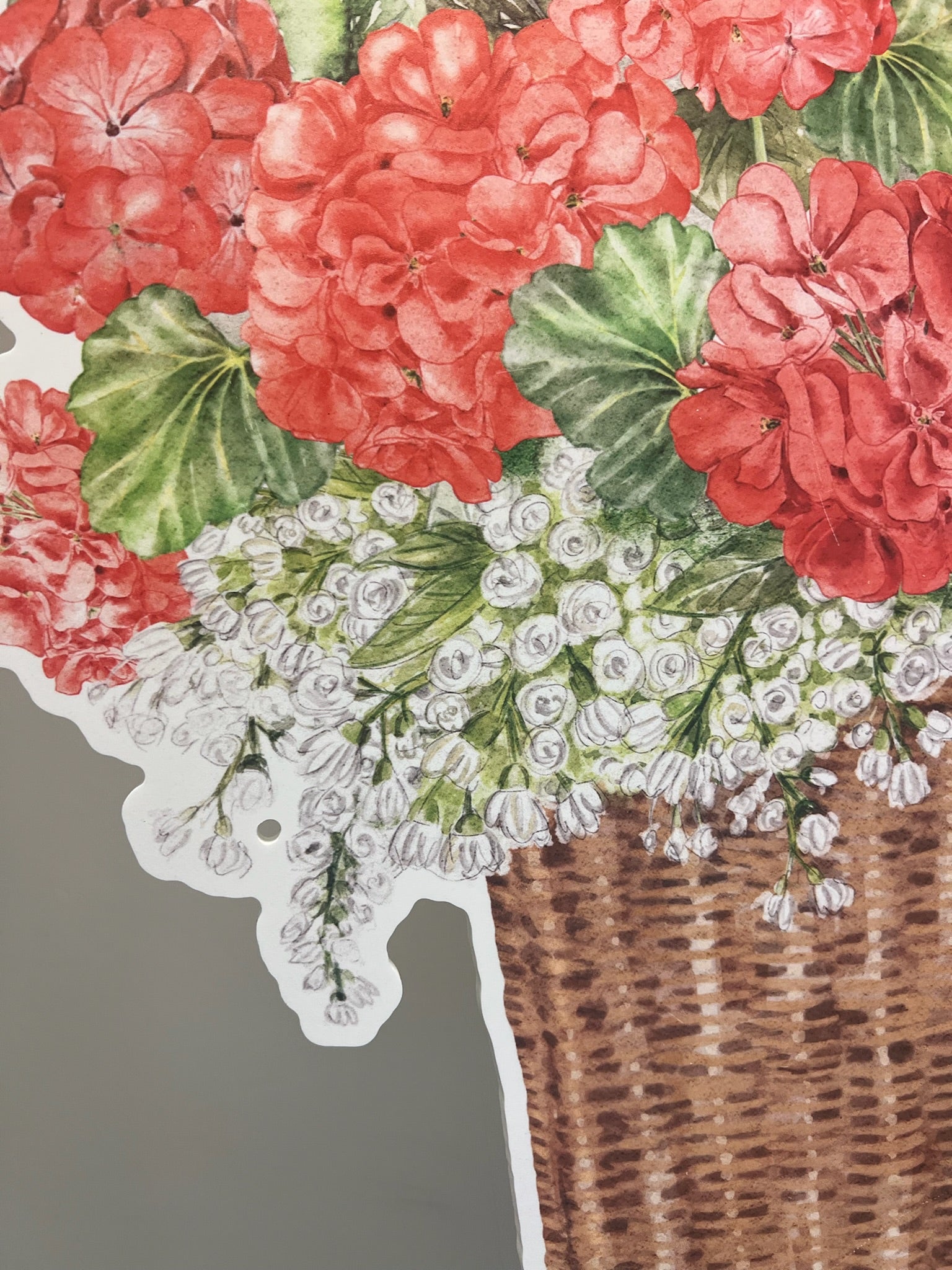 Coral Floral Door Hanger (Sale)