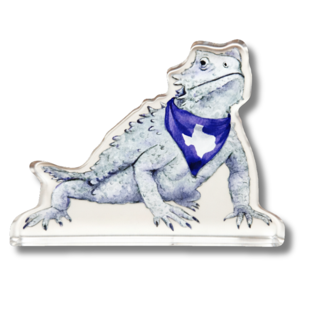 Frog Acrylic