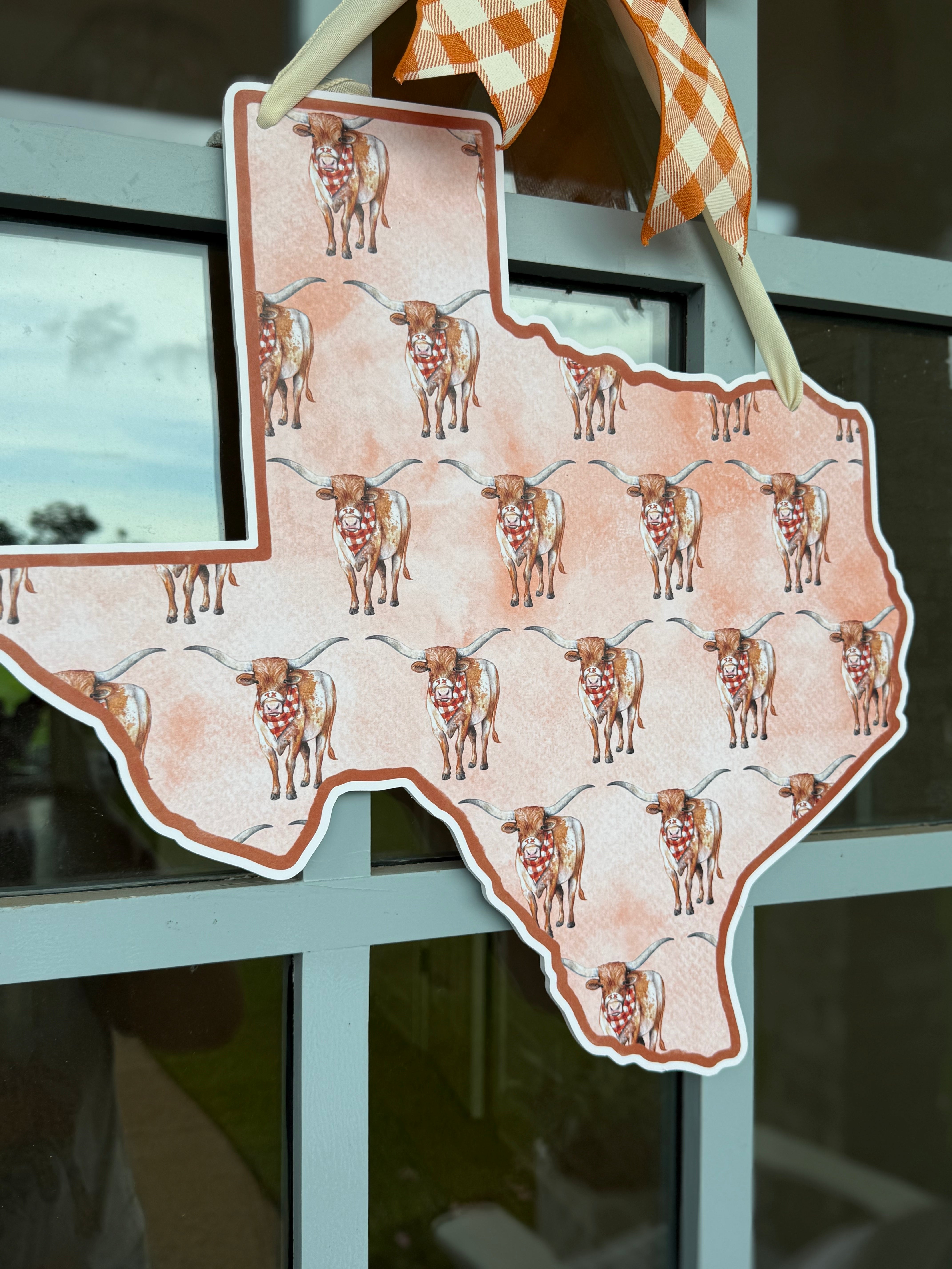 Lonestar Longhorn Printed Door Hanger