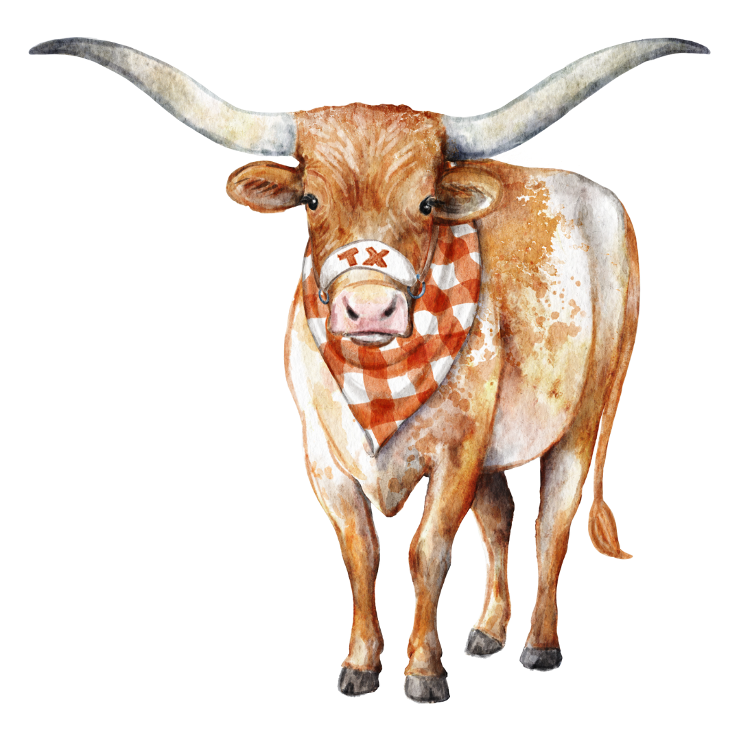 PRE ORDER (Ships 8/31) Lonestar Longhorn Frosted 16 oz Cup Set