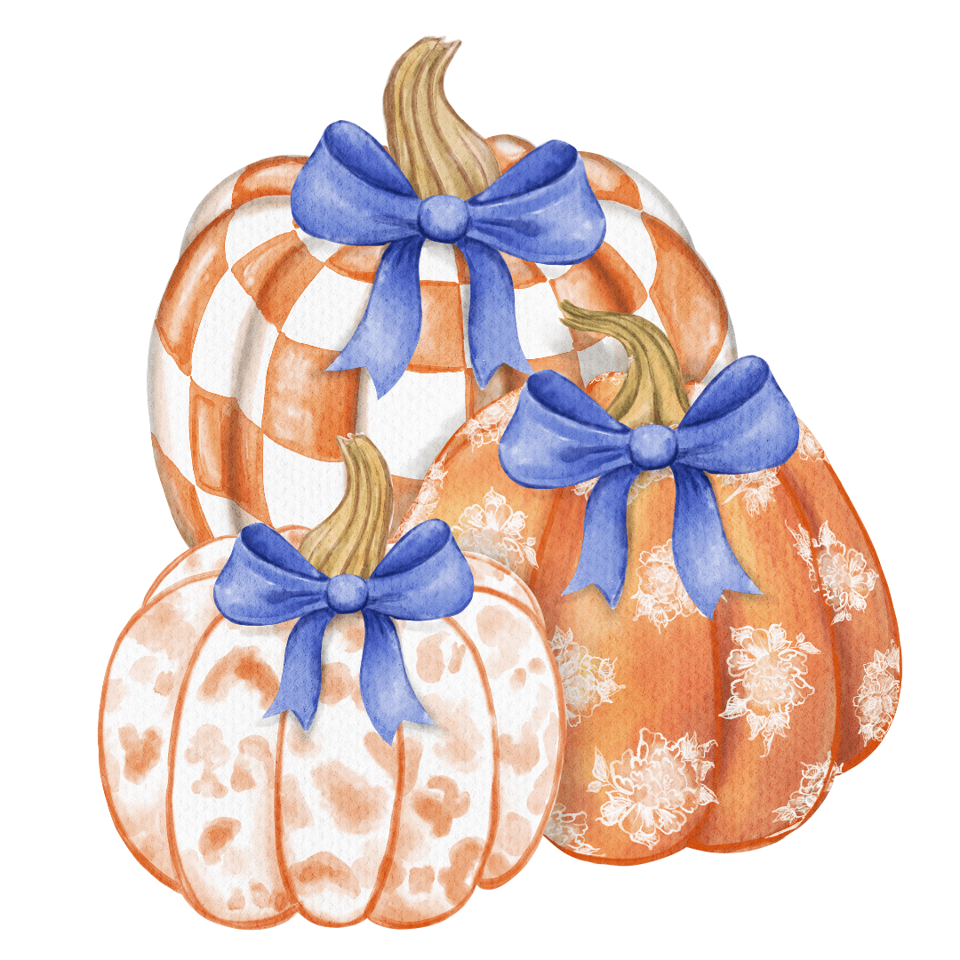 Pumpkin Medley Duet Reversible Garden Stake