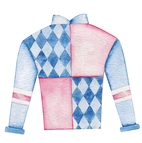 Racing Silk (Pink)- Door Hanger
