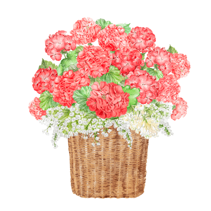 Coral Floral- Door Hanger