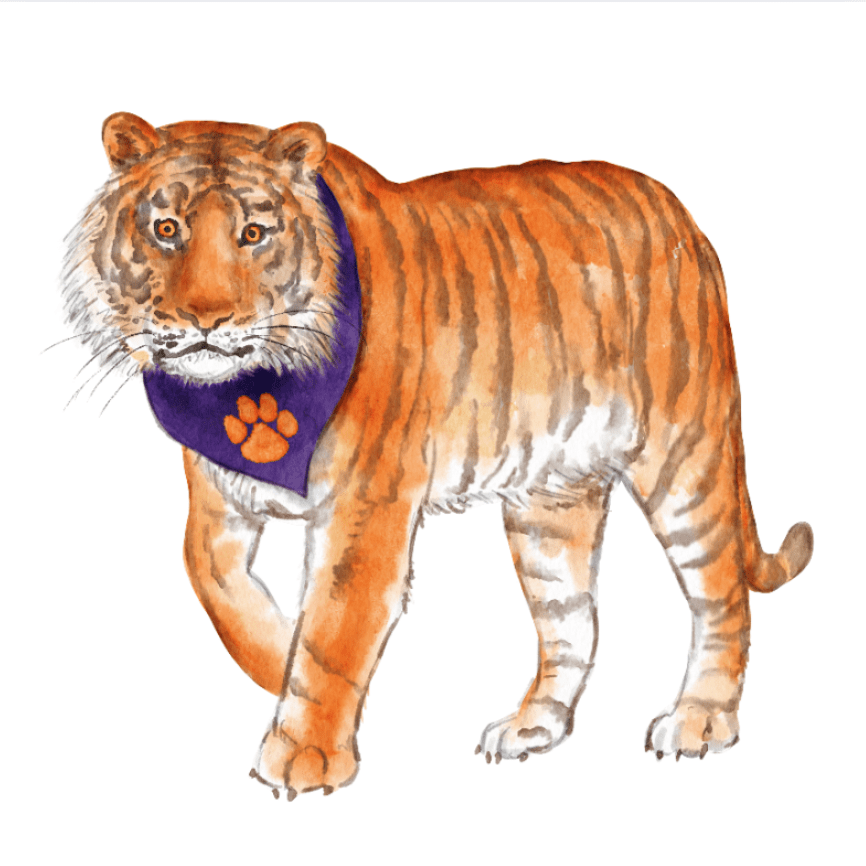 Palmetto Tiger Purple & Orange Swizzle Sticks