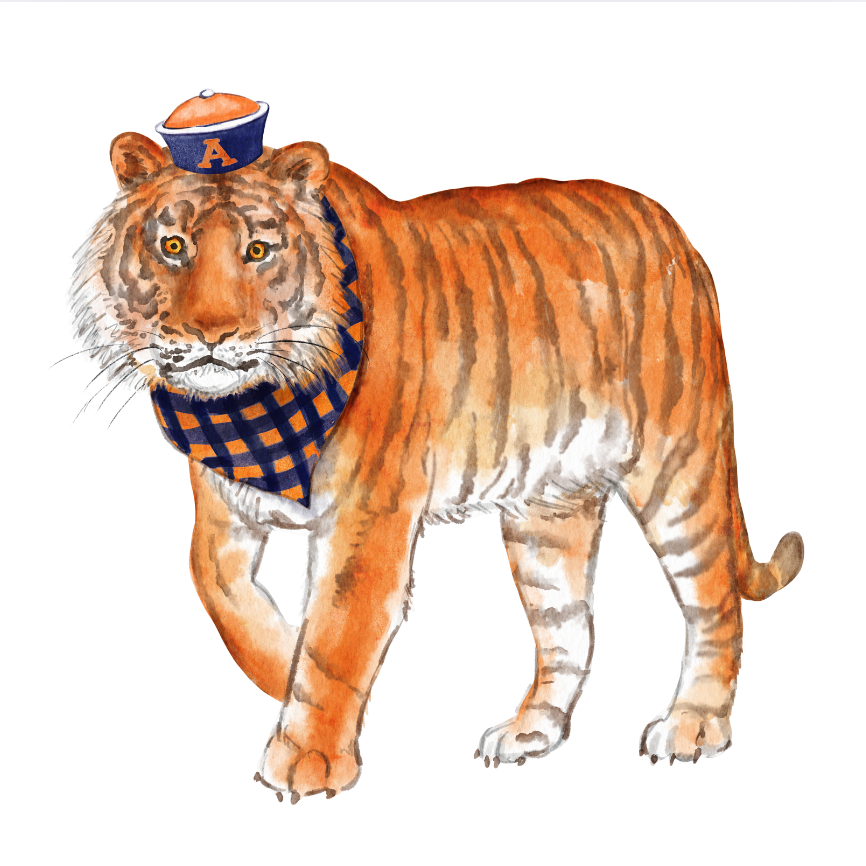 PRE ORDER (Ships 8/31) Orange & Blue Tiger Swizzle Sticks