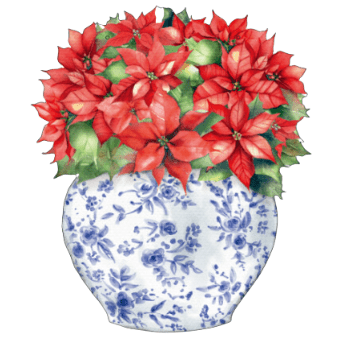 Classic Poinsettias in Ginger Jar- Tea Towel (Ships Nov 3)