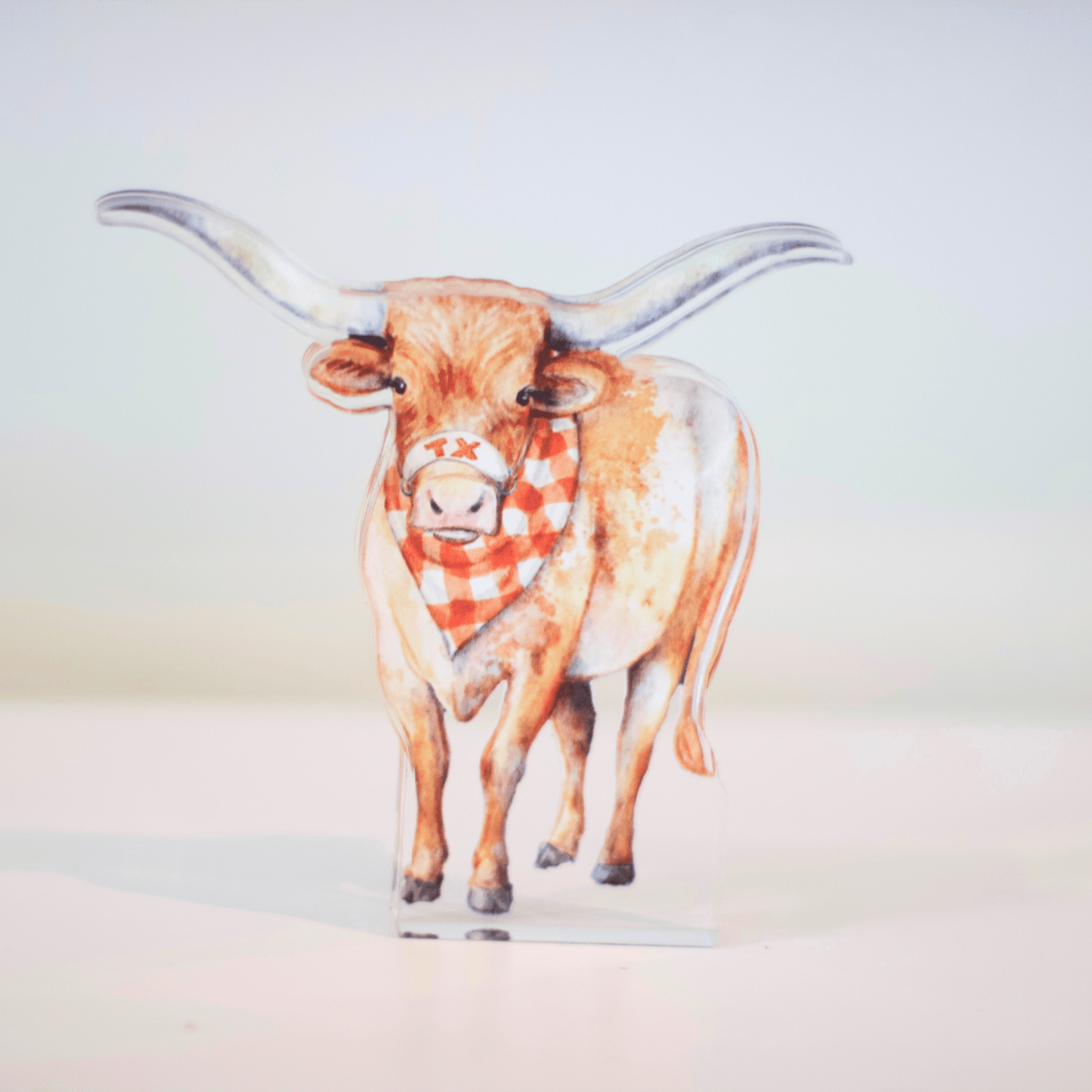 Lonestar Longhorn Acrylic