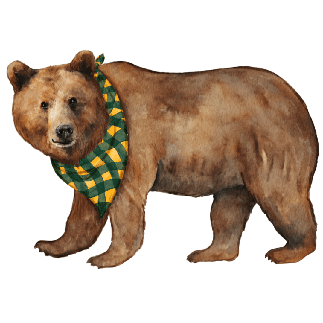 Green & Gold Bear Frosted 16 oz Cup Set