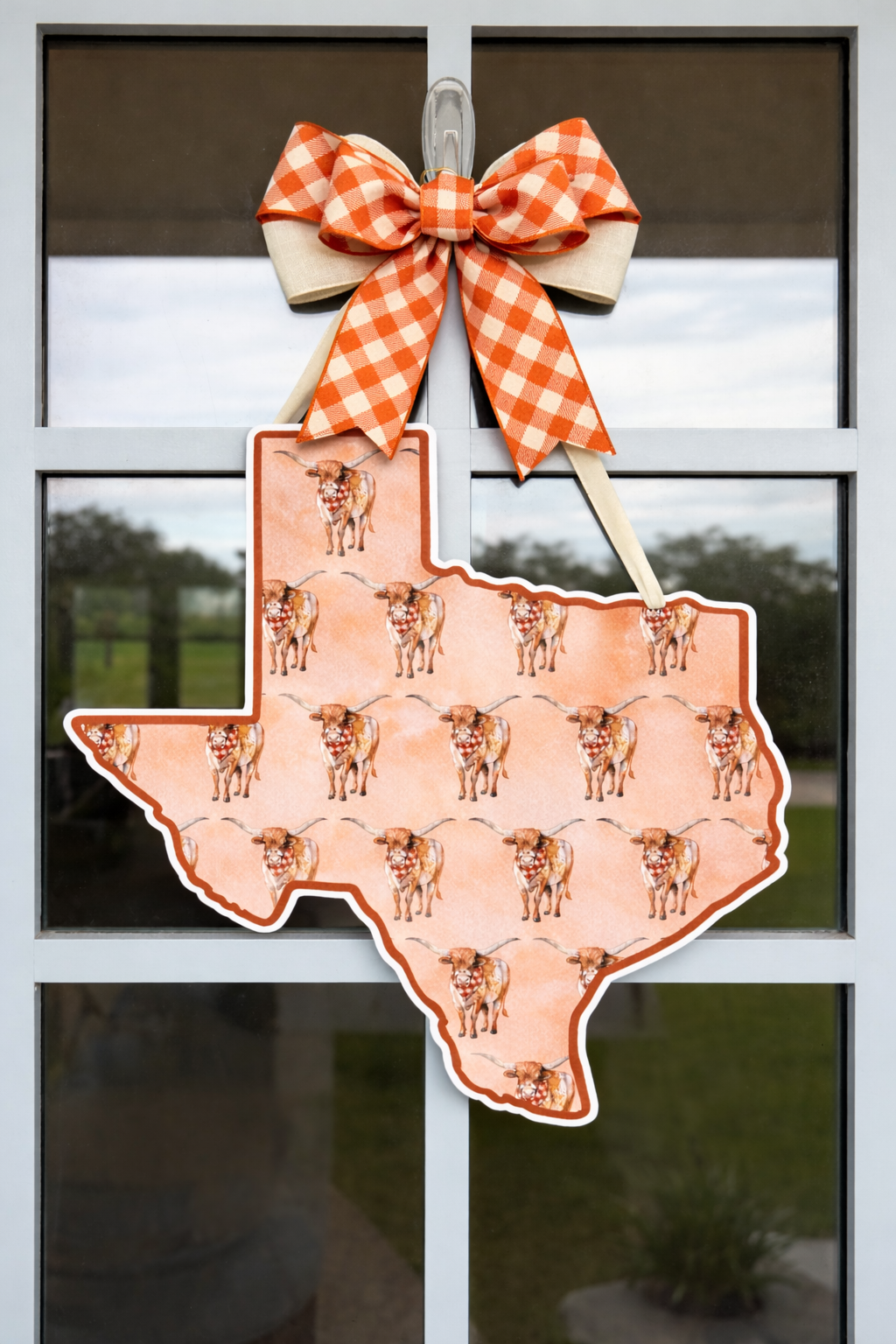 Lonestar Longhorn Printed Door Hanger