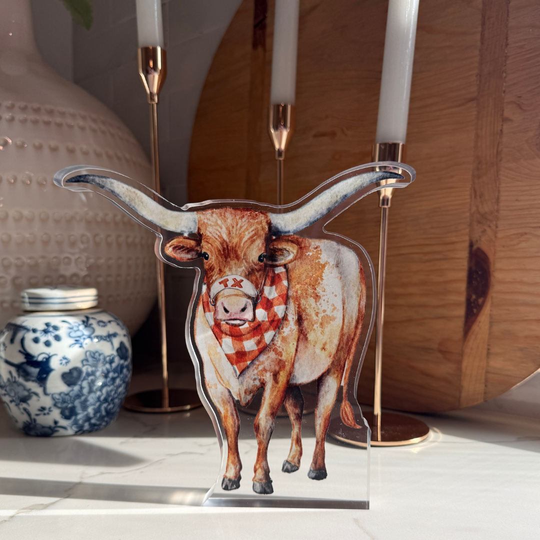 Lonestar Longhorn Acrylic