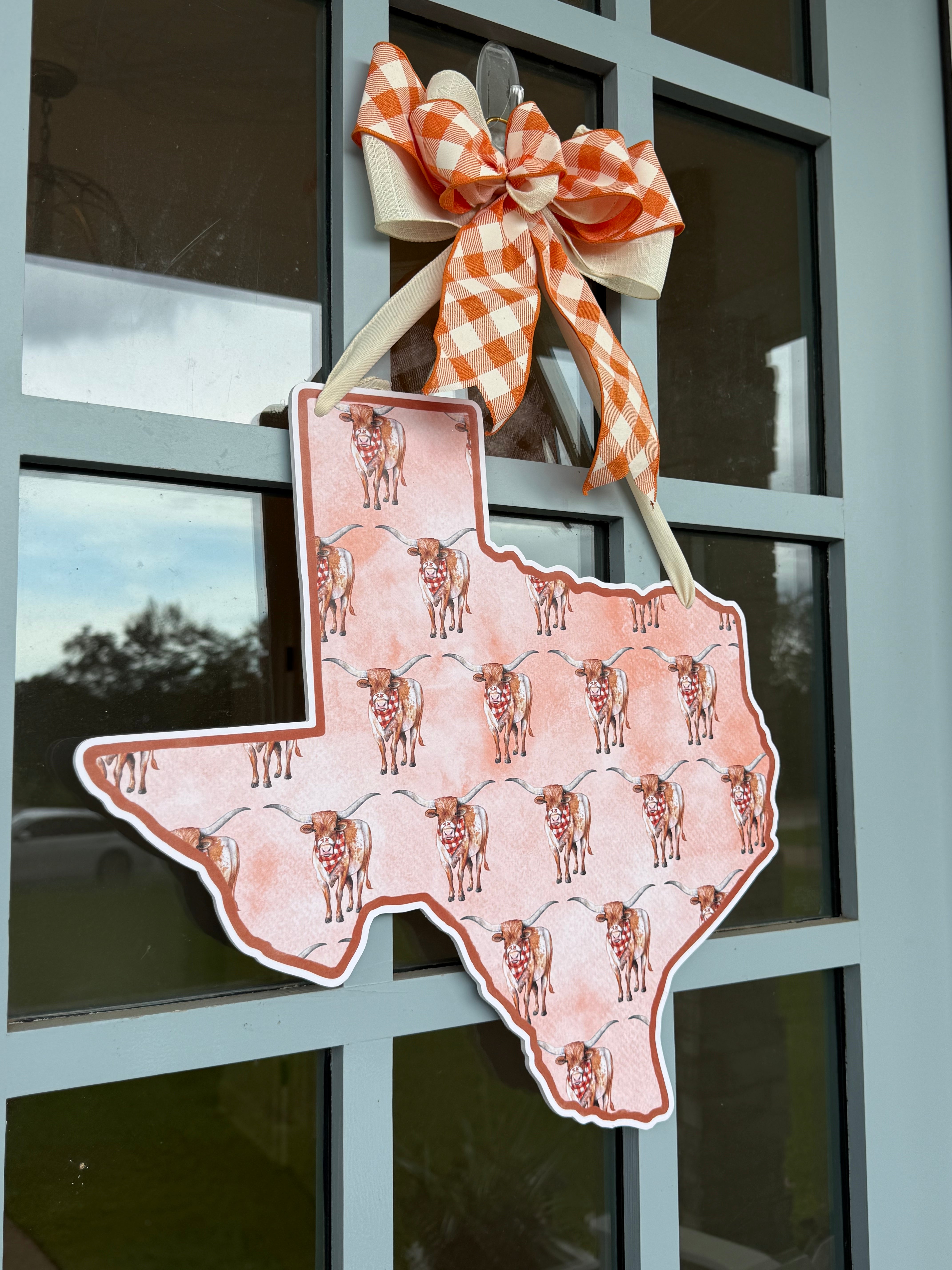 Lonestar Longhorn Printed Door Hanger