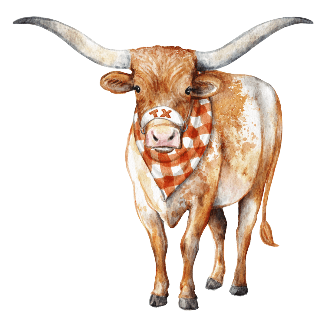 Lonestar Longhorn Frosted 16 oz Cup Set