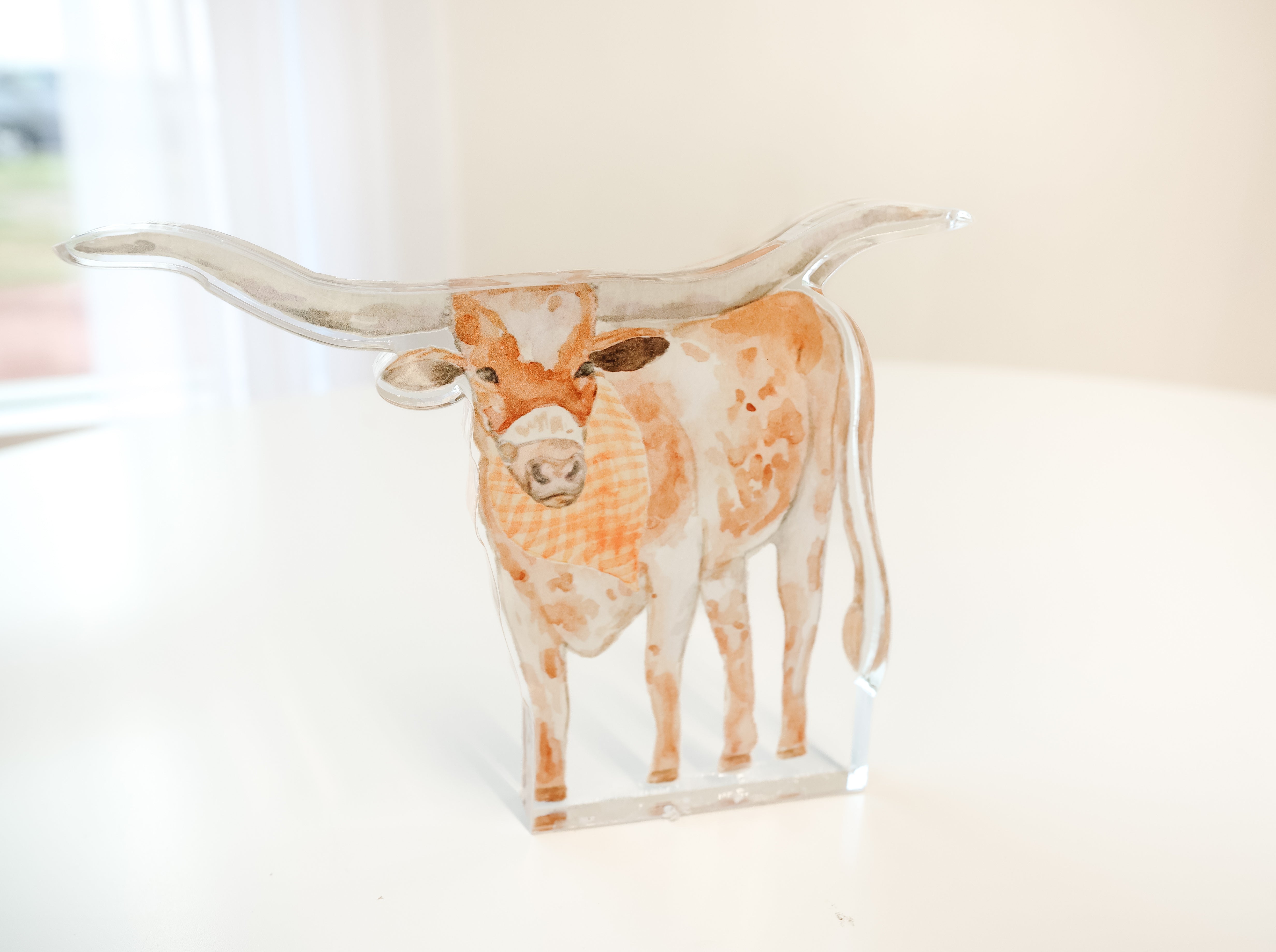 Texas Longhorn Acrylic (Sale)