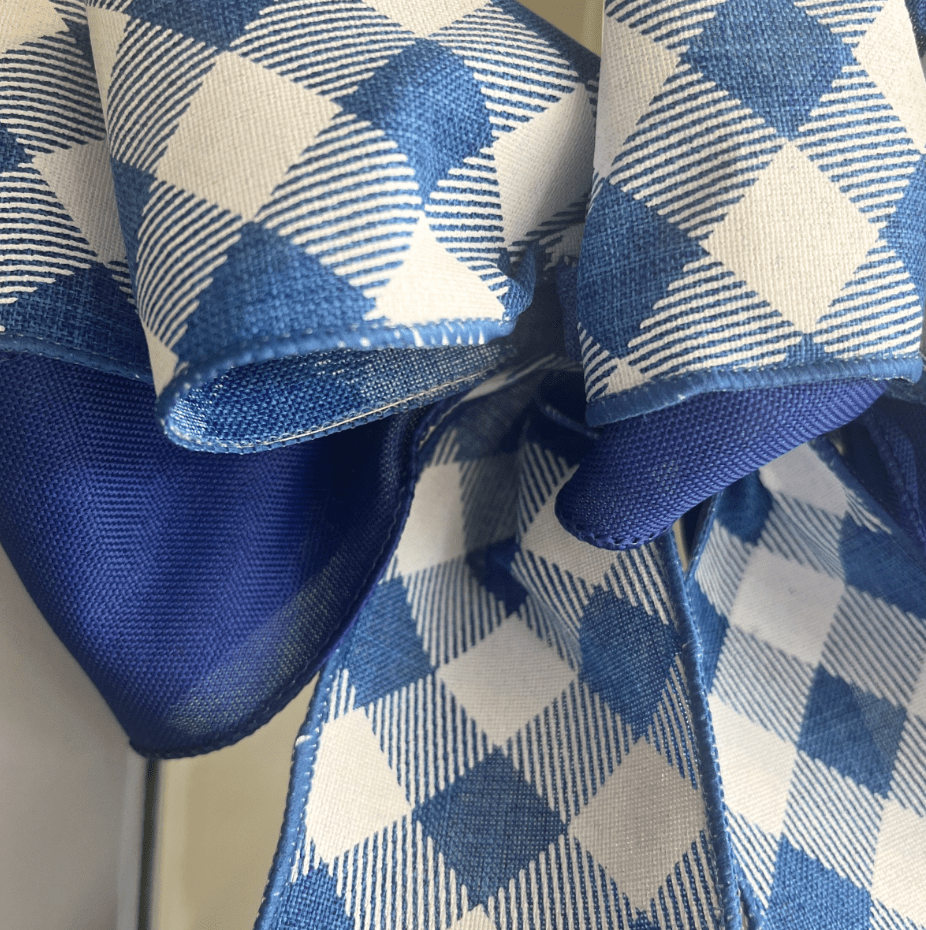 Lone Star Bluebonnets Door Hanger