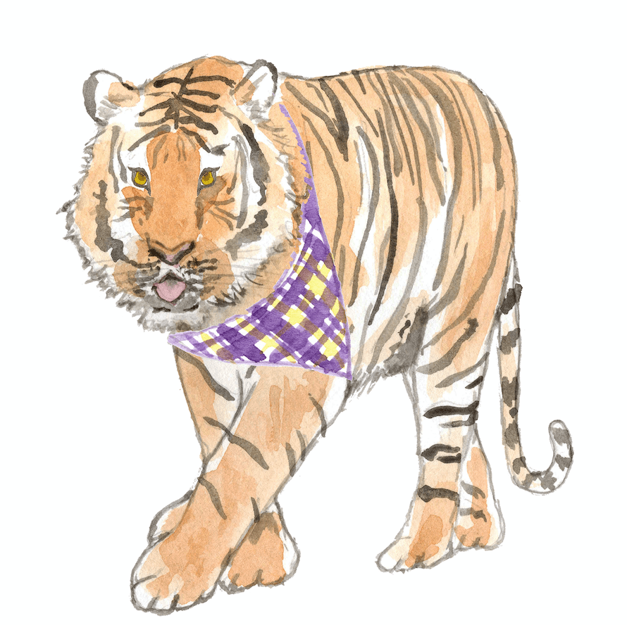 Louisiana Tiger- Tea Towel (Sale)