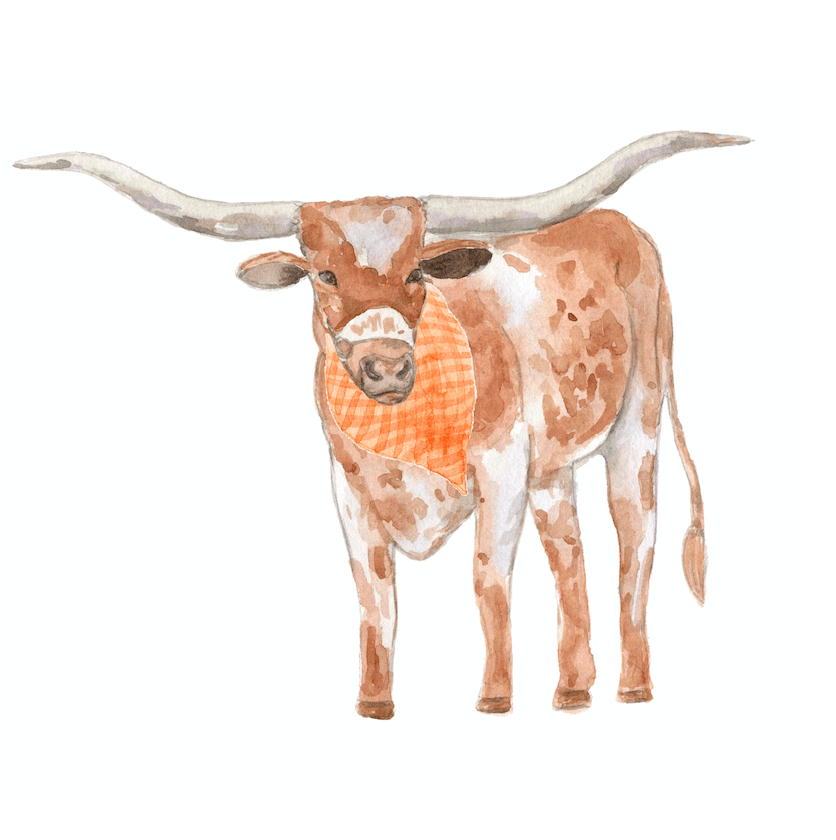Texas Longhorn- Tea Towel (Sale)