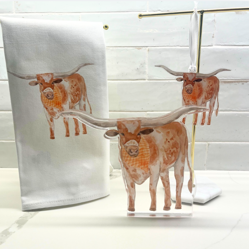 Texas Longhorn Acrylic (Sale)
