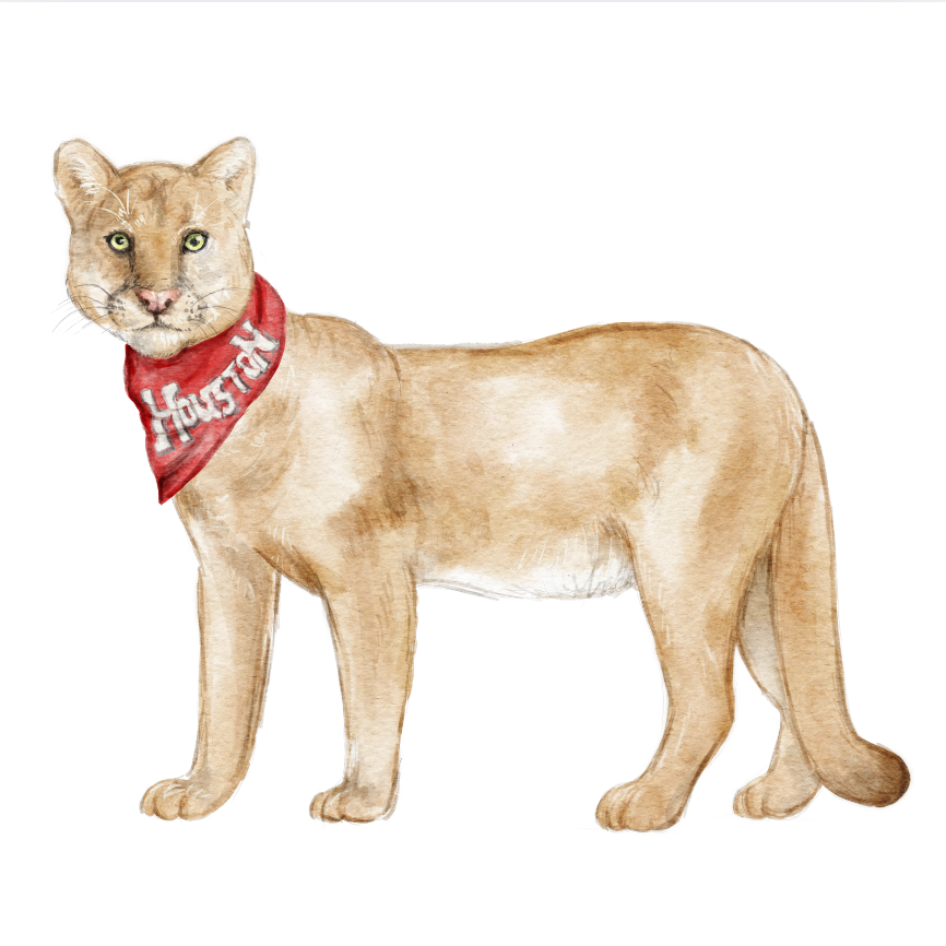 PRE ORDER (Ships 8/31) Red & White Cougar Swizzle Sticks