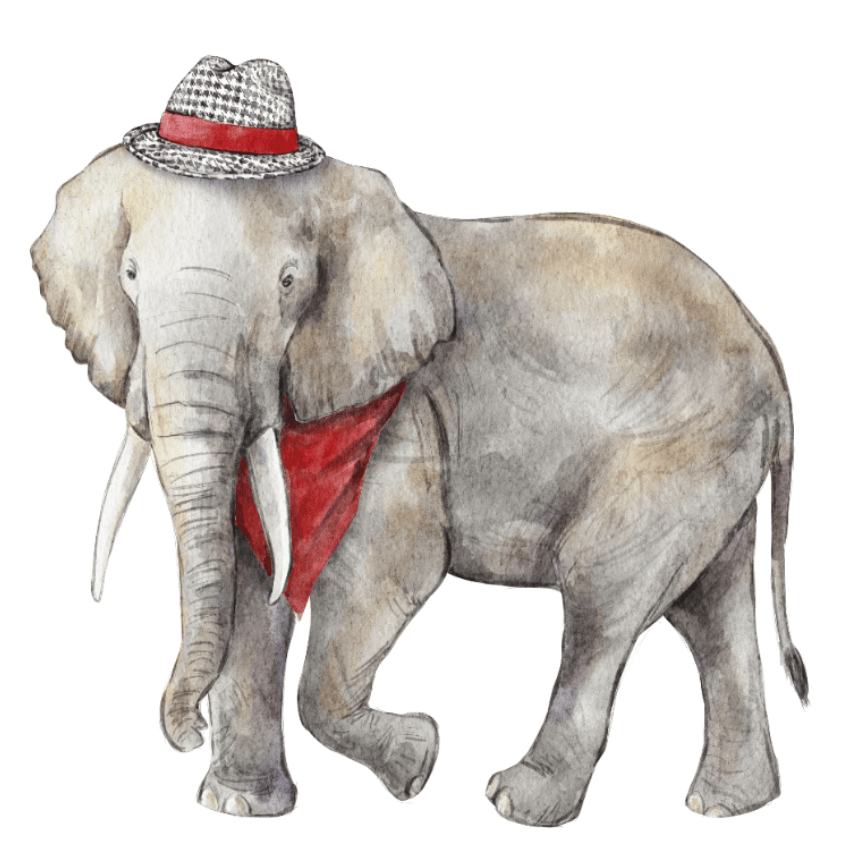 Crimson & White Elephant Acrylic