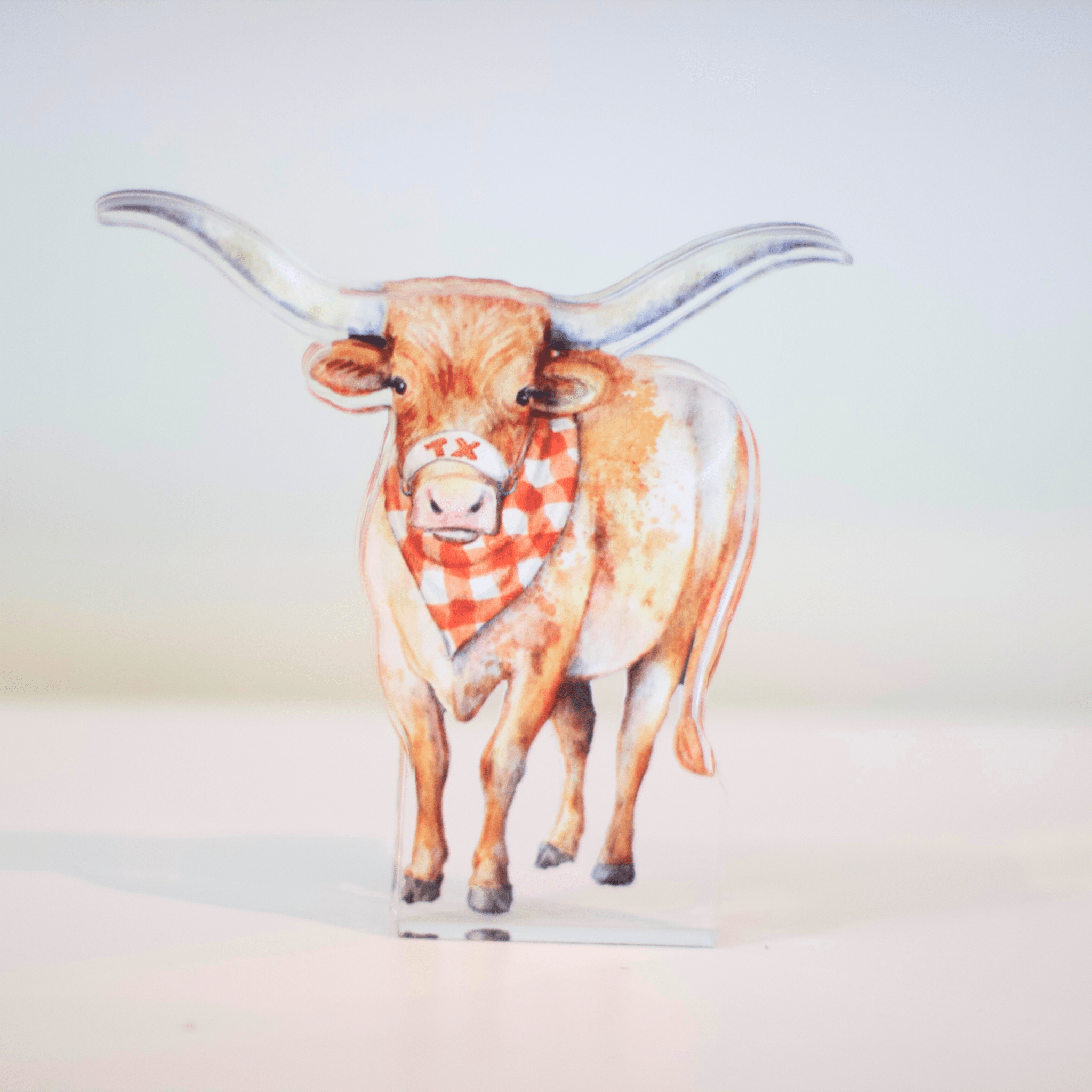 Lonestar Longhorn Acrylic